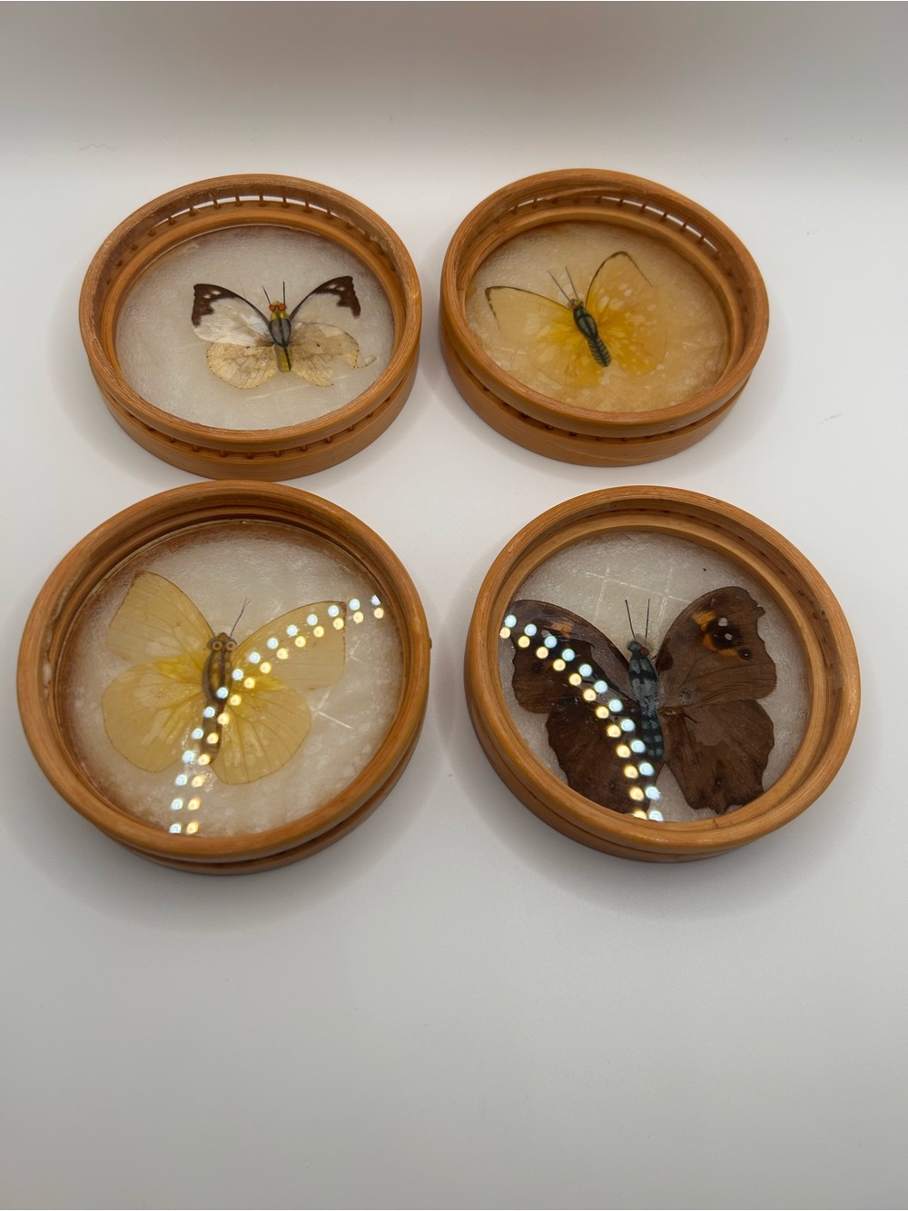 Vintage Butterfly Specimen Coasters | 1960s Bamboo Rattan, Boho Naturalist Decor